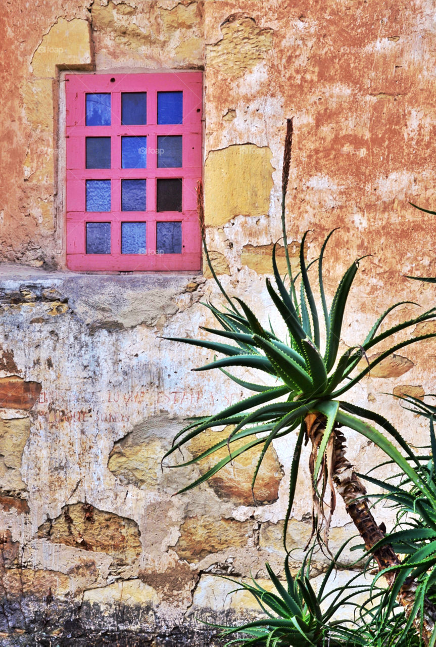 Detail of wold wall, window and cactus at the Missión de San Carlos Borroméo del Río Carmelo, Carmel by the Sea, California 