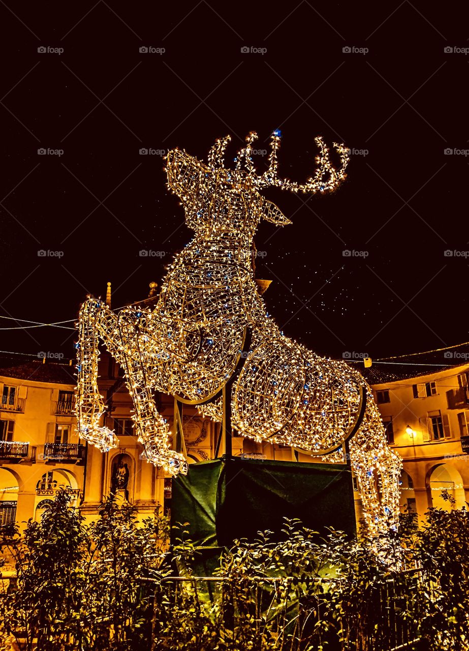 Reindeer lights in town 
