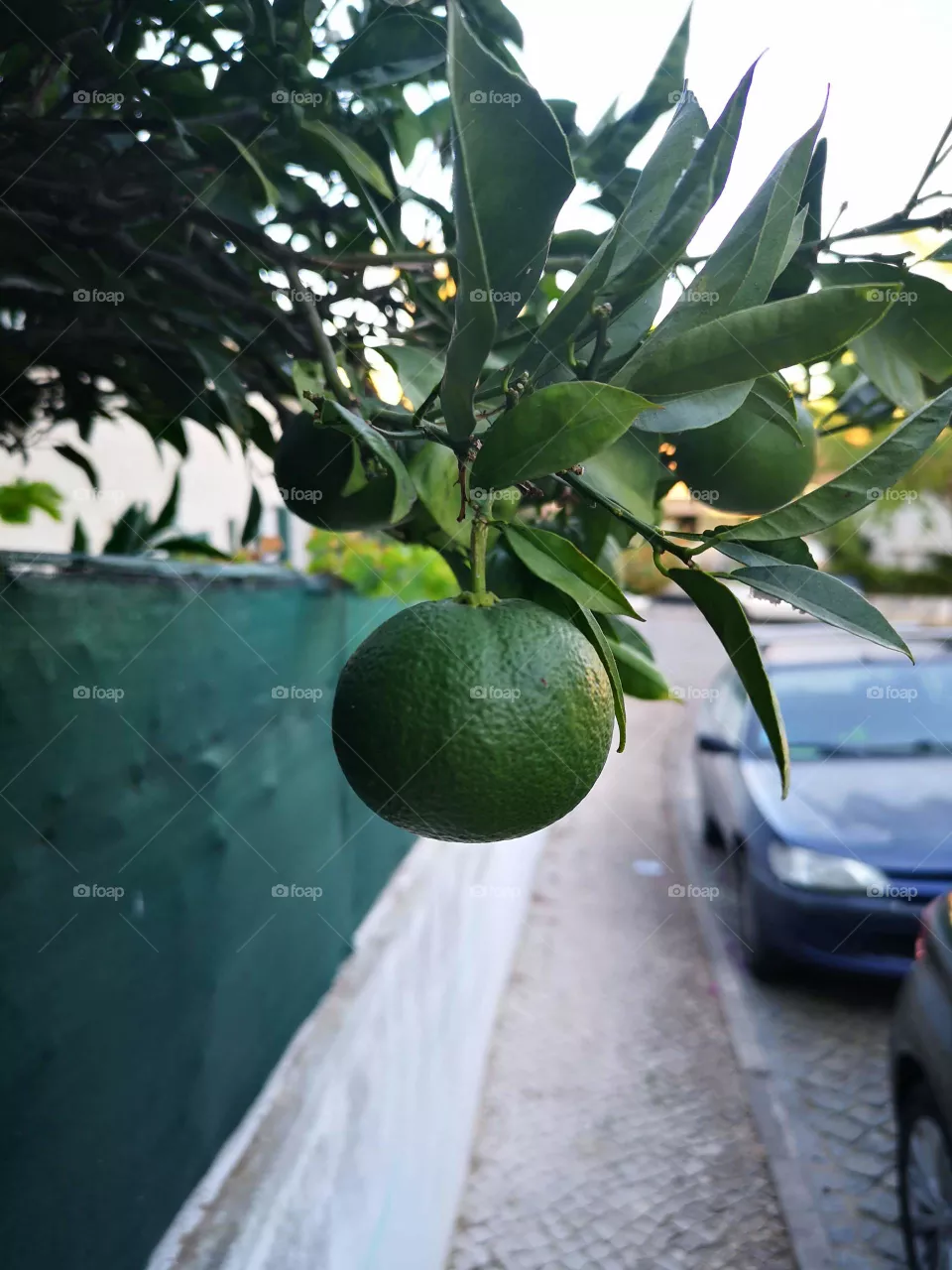 Lemon green