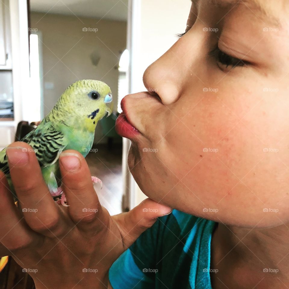 Parakeet love. 