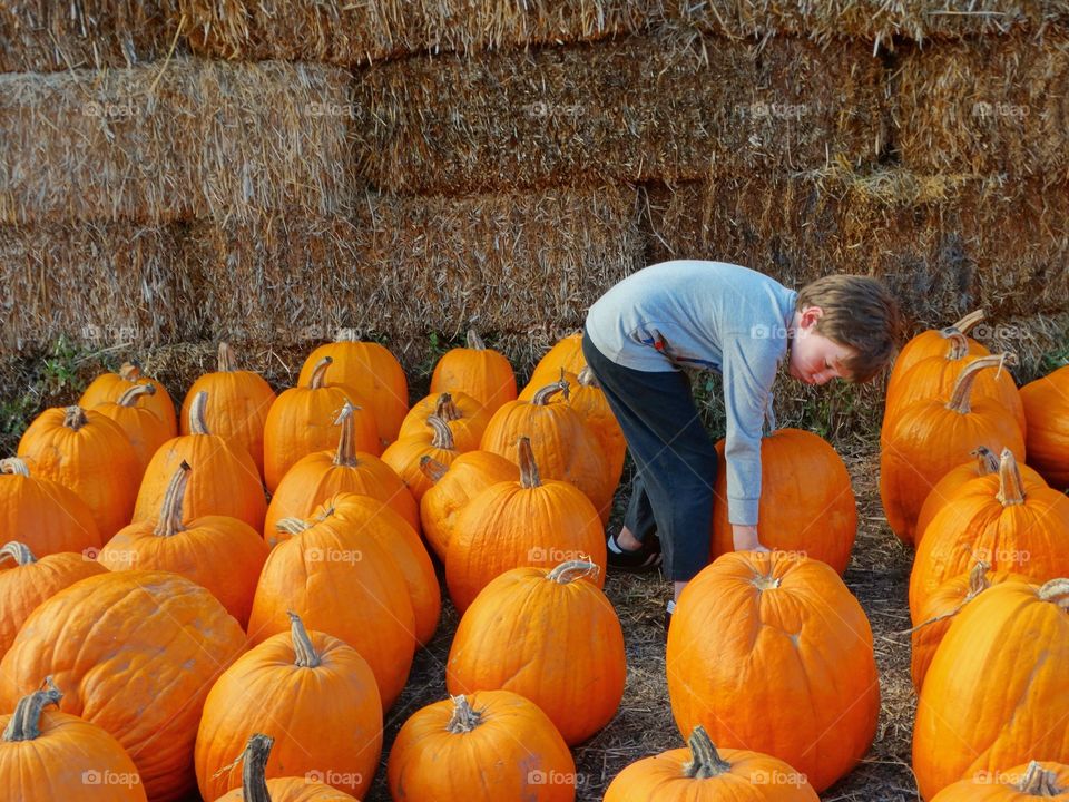 Boy In The Pumpkin Patch