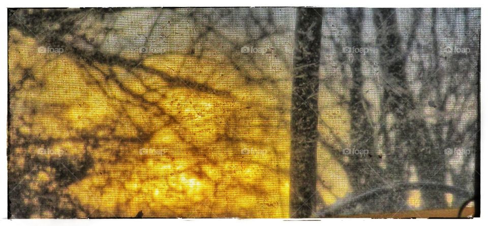 different view of sunset