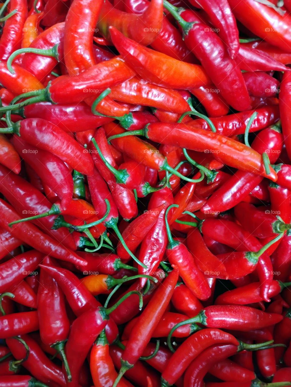 A pimenta dedo-de-moça é também  conhecida, como pimenta vermelha, devido à sua cor. É  rica em vitaminas C e carotenóides. Tem sabor picante e frutado. Quando seca e moída se transforma na pimenta calabresa...