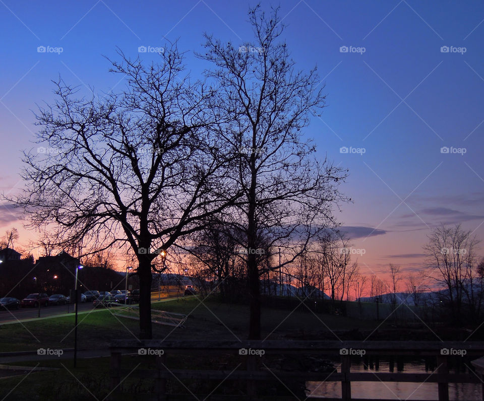 trees ny silhouette beacon by delvec