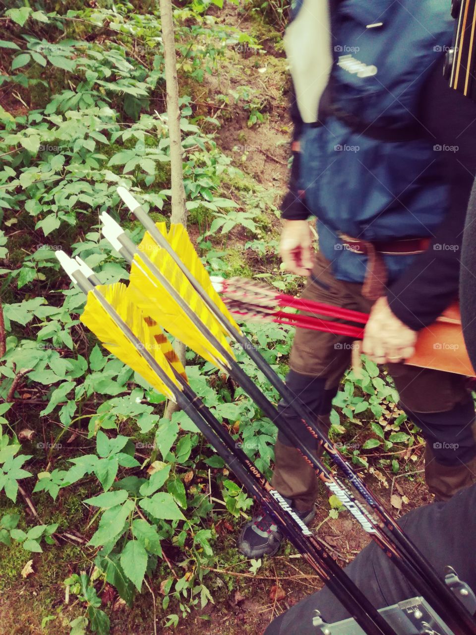 Yellow artows in quiver. Archers in the forrest