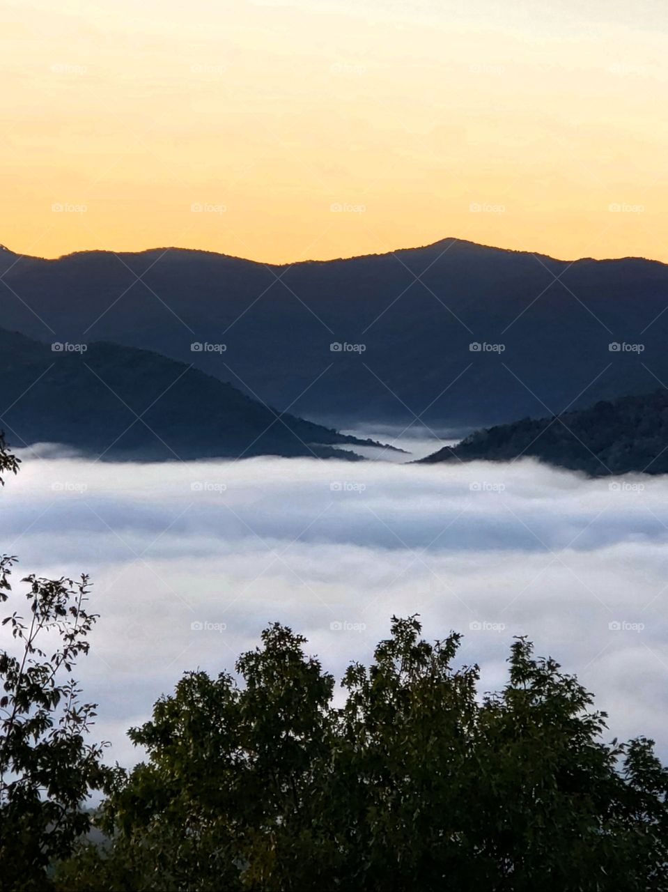 amazing sunrise view from a cabin above the clouds in the Rocky mountains of North Carolina looking at the white clouds rolling through the dark mountain peaks and valleys with a bright yellow orange sky