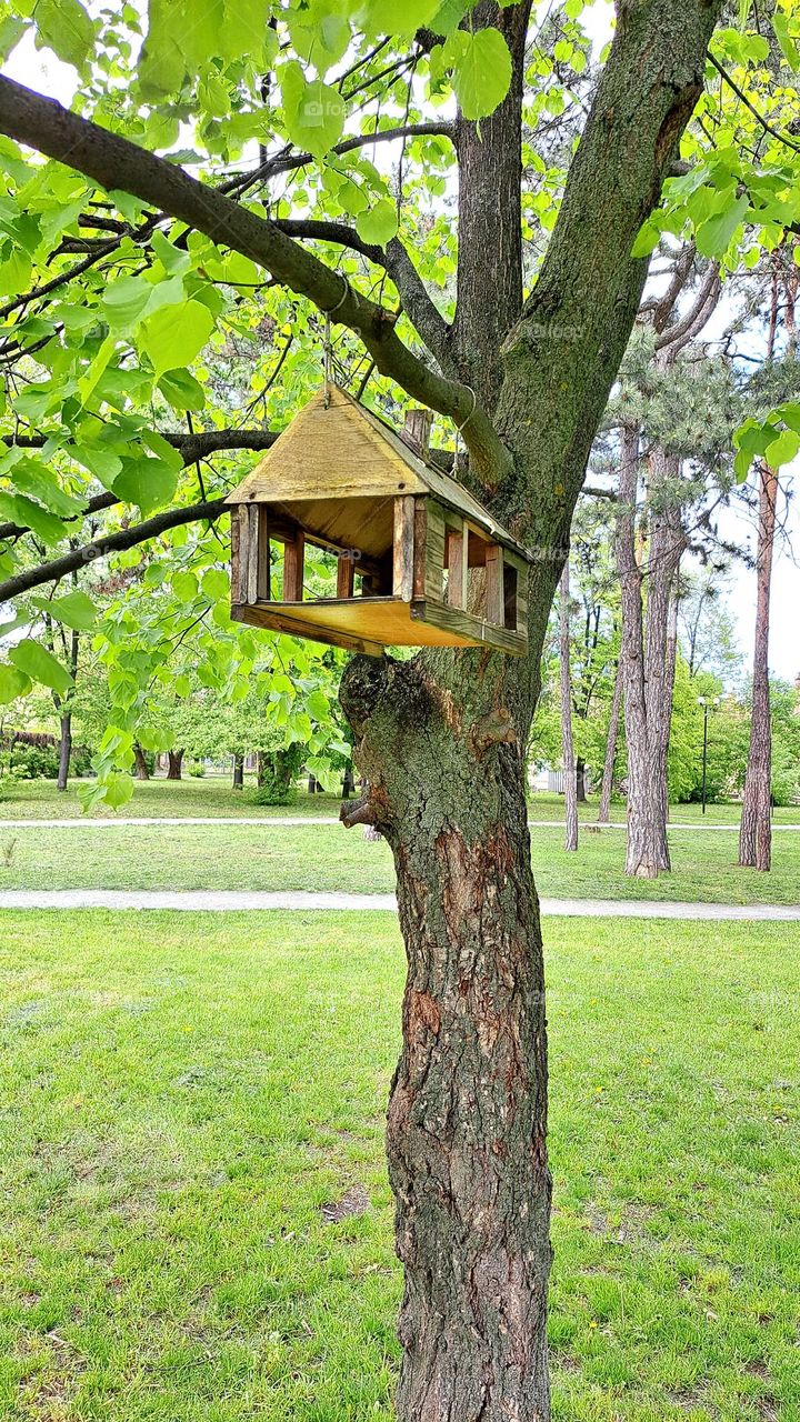 bird house