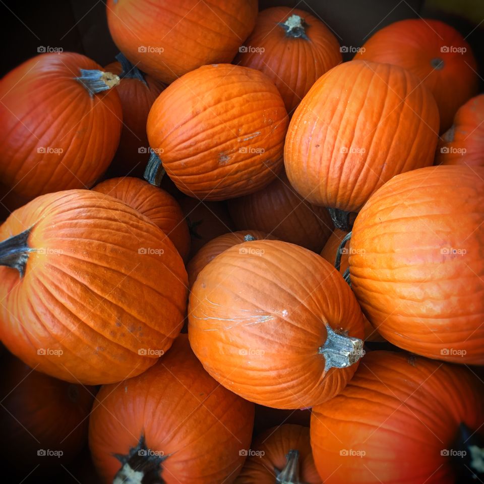 pumpkins from the states
