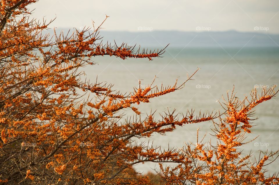 View of beach