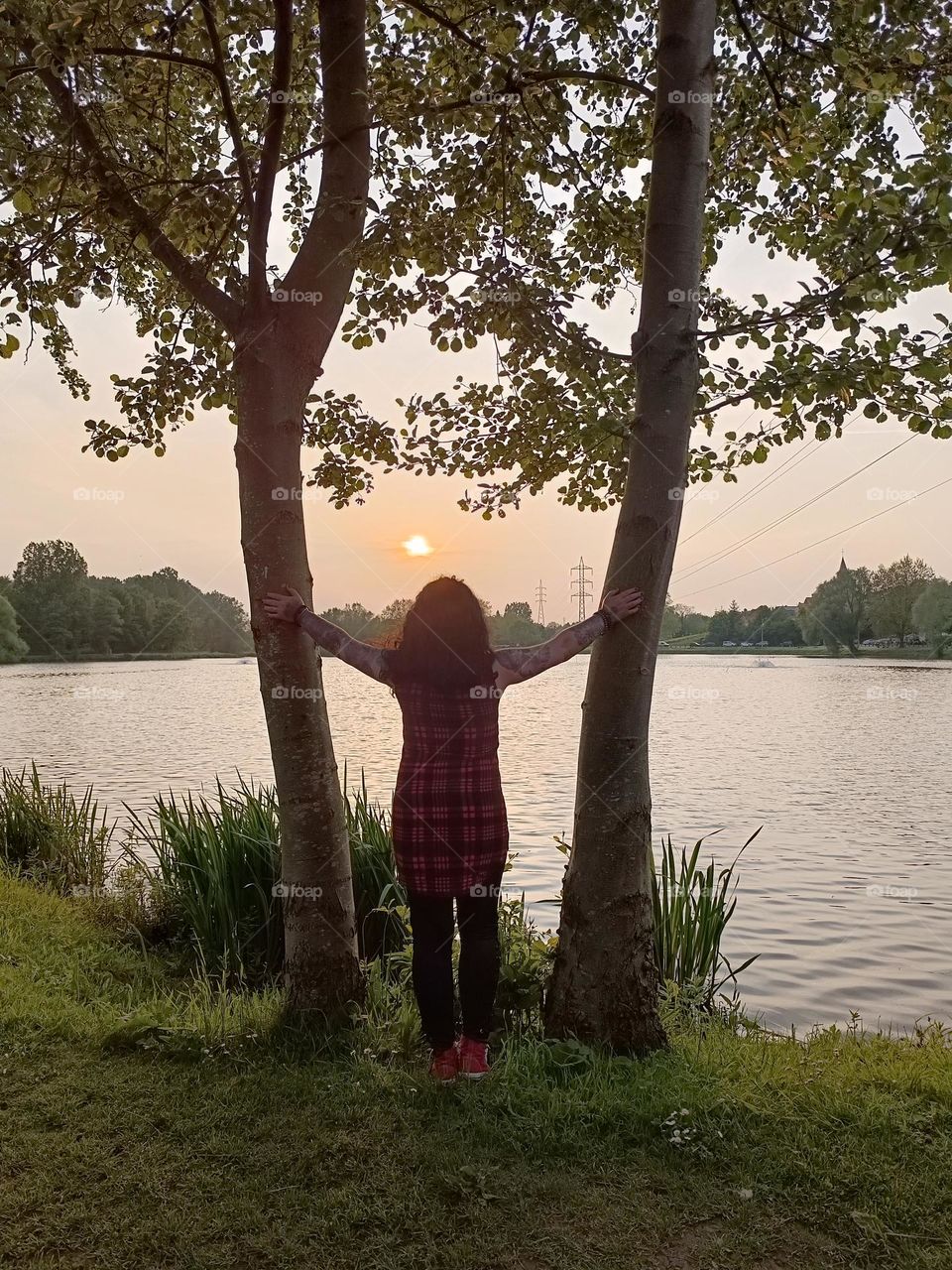 sunset at the edge of the pond