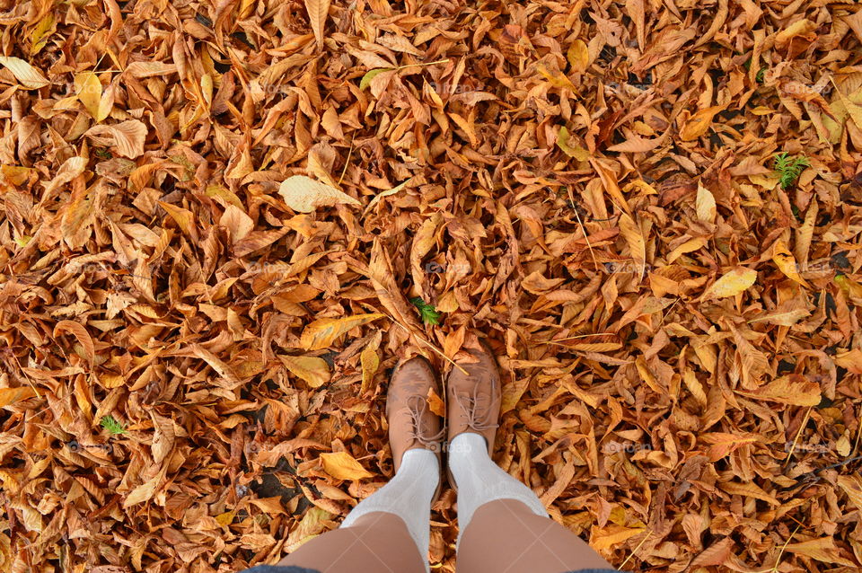 Low section view of person standing on autumn leaves