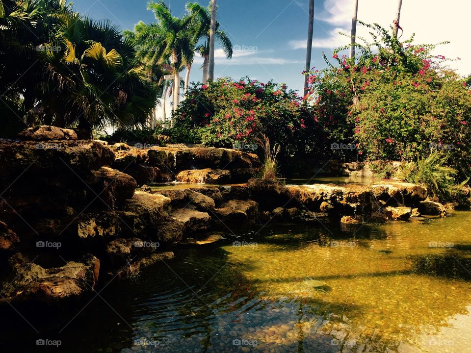 Water fall. Water garden in Miami Florida 