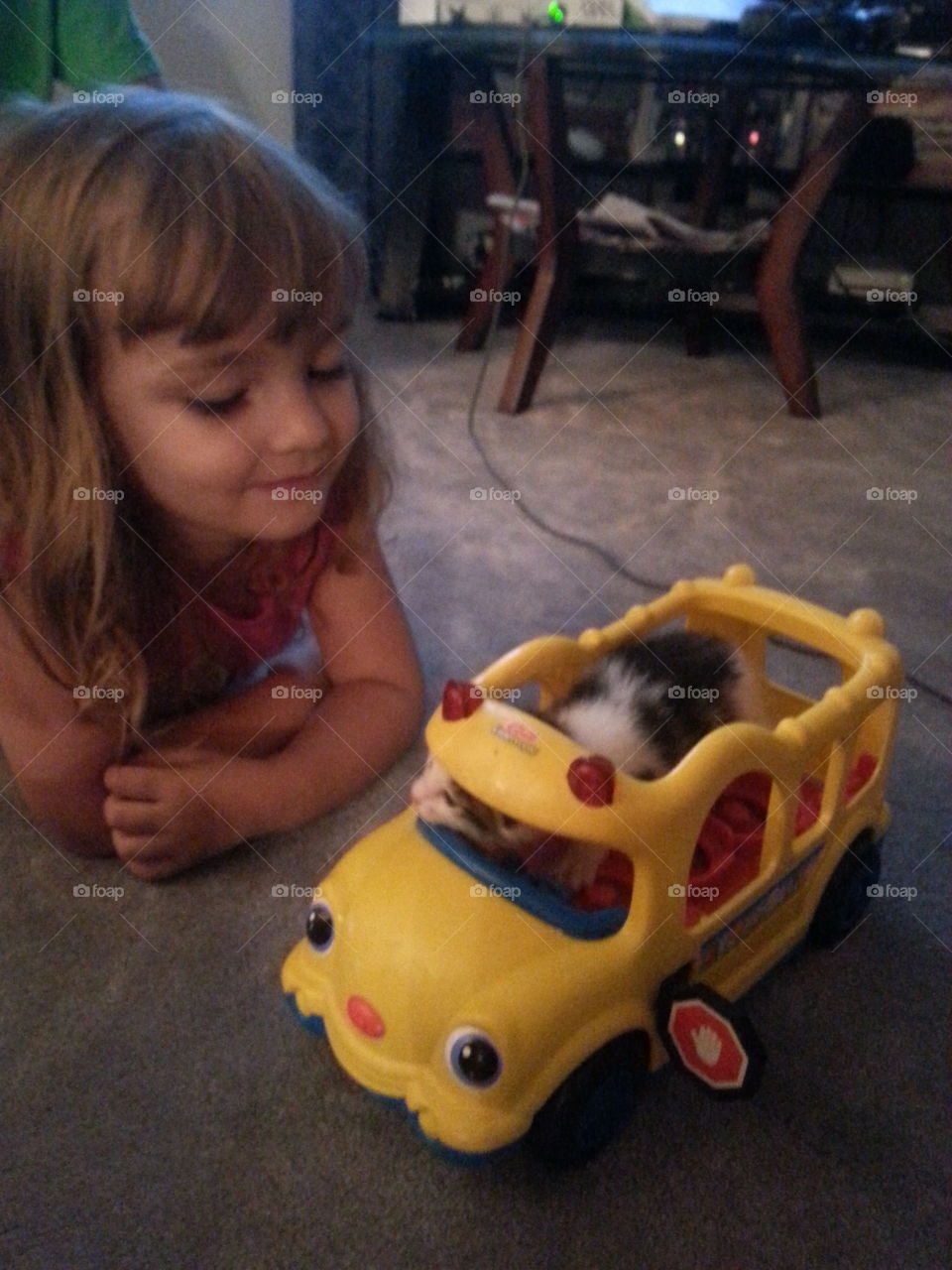 Kittens first day of school. my niece playing with a kitten