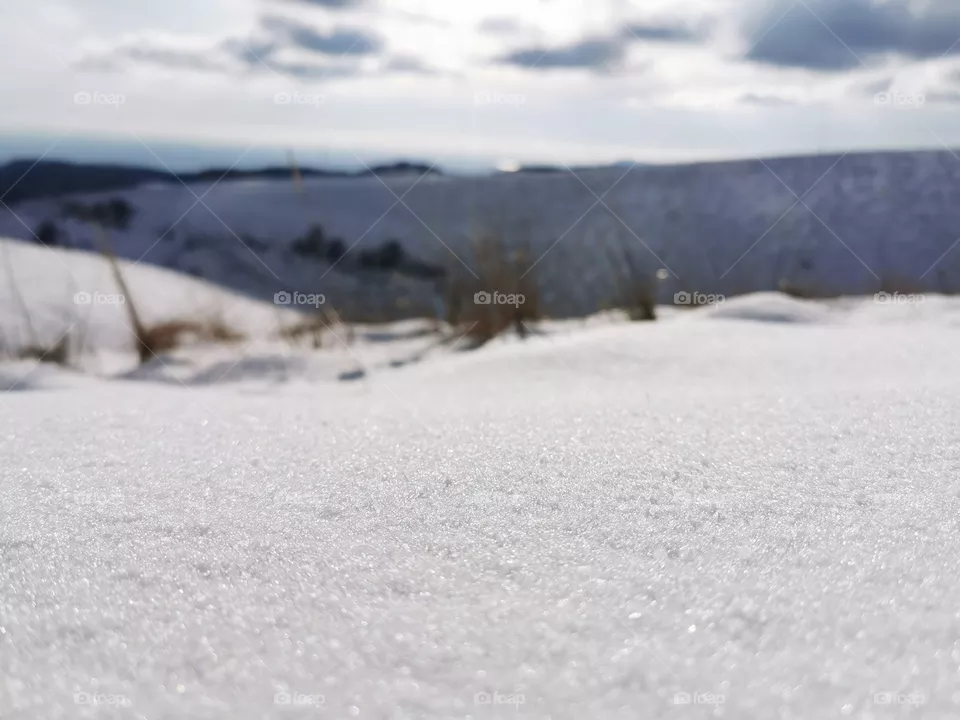 Neve