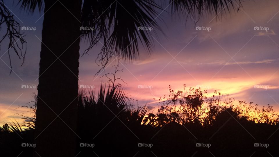 Tropical Sunset. Summer sky at dusk in Florida