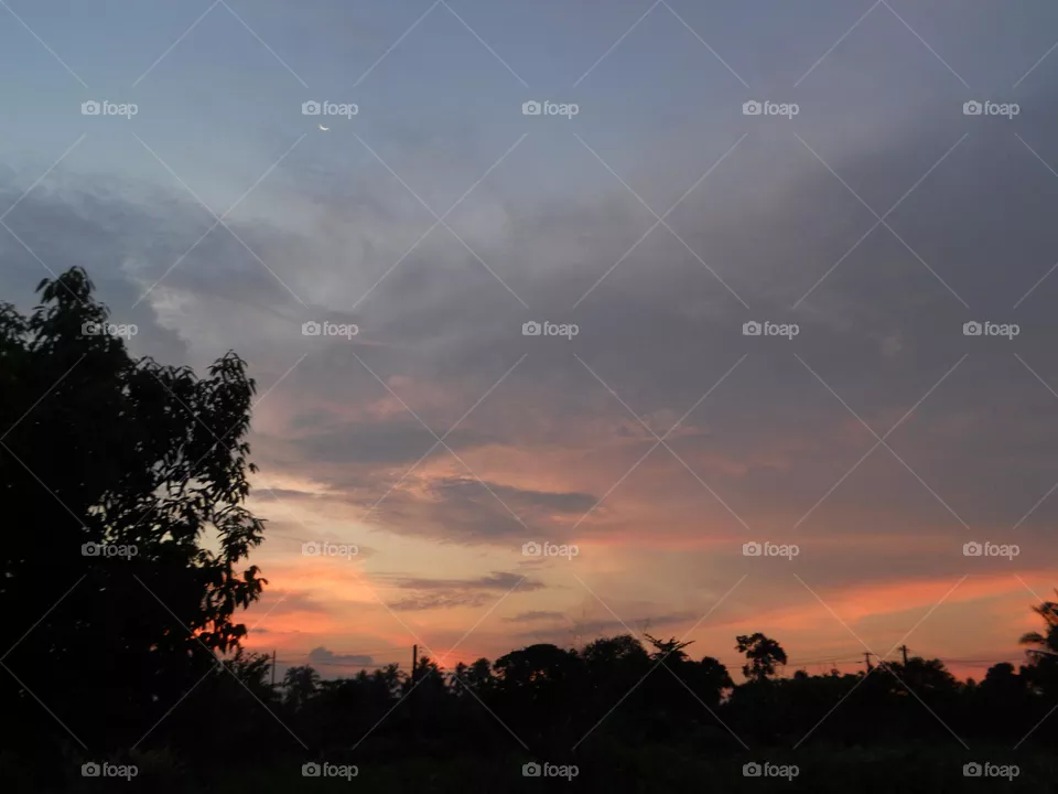 nice sunset