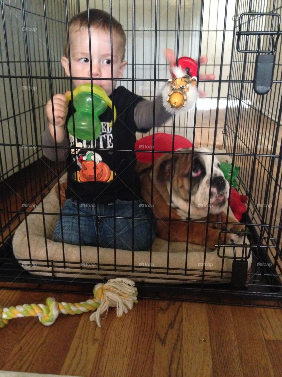 Caged . The pups