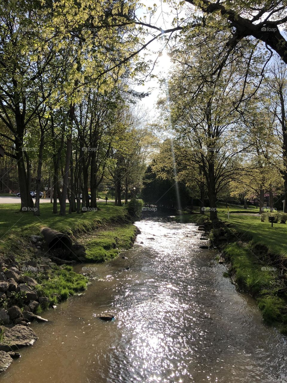 Spring view of the creek flowing