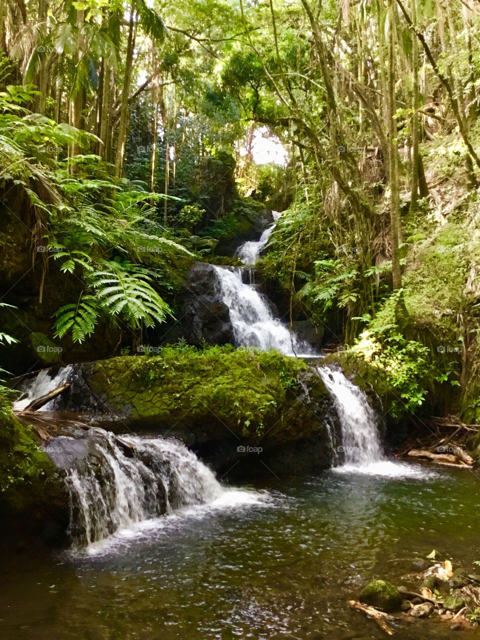 Waterfall at Hawaii Tropical Botanical Garden