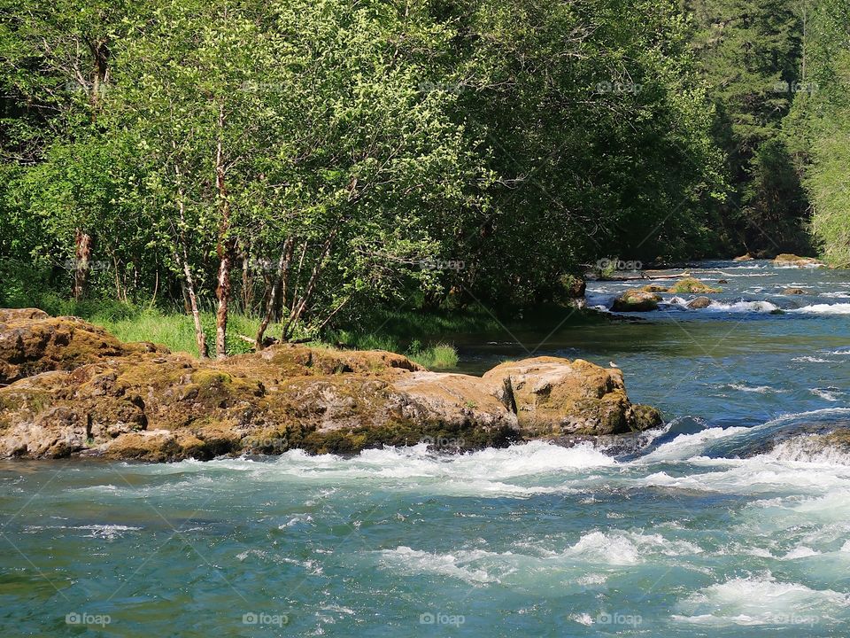 The incredible turquoise waters of the Blue River in the Willamette National Forest on a sunny spring day. 