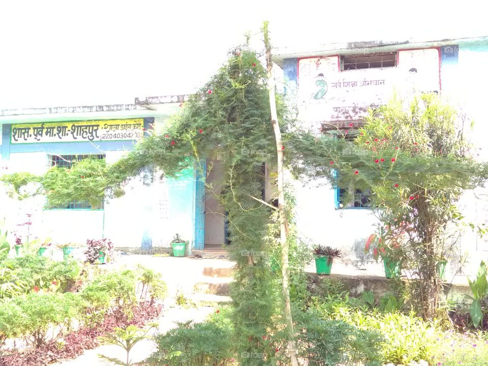 The school Garden is the beginning of our daily routine, the Garden feels like it is the experience of quite