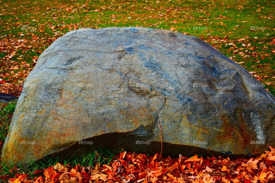 An interesting rock in the winter sun