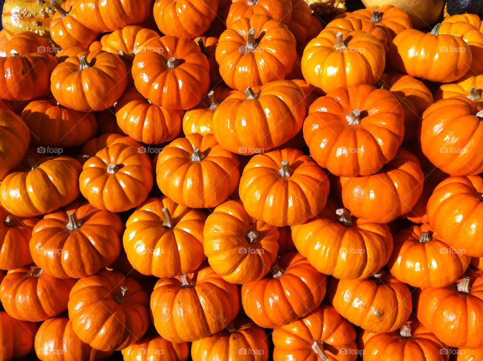 orange fall halloween harvest by roymyr64