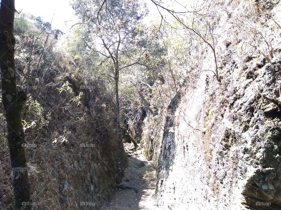 calle de piedra en el monte