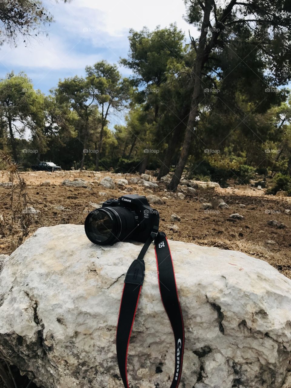 Not just I take a break at the nature also my photo take a break on the stones.