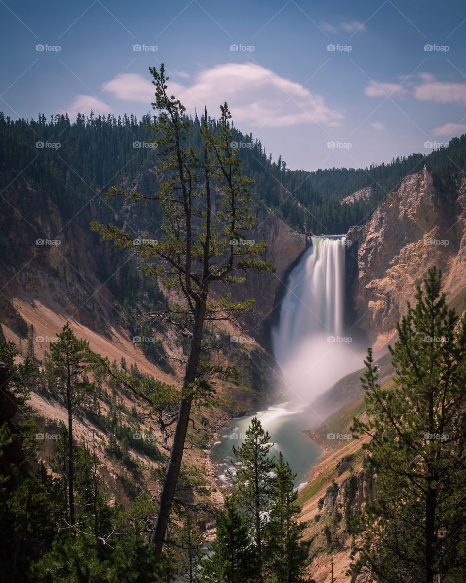 Lower falls Yellowstone National Park