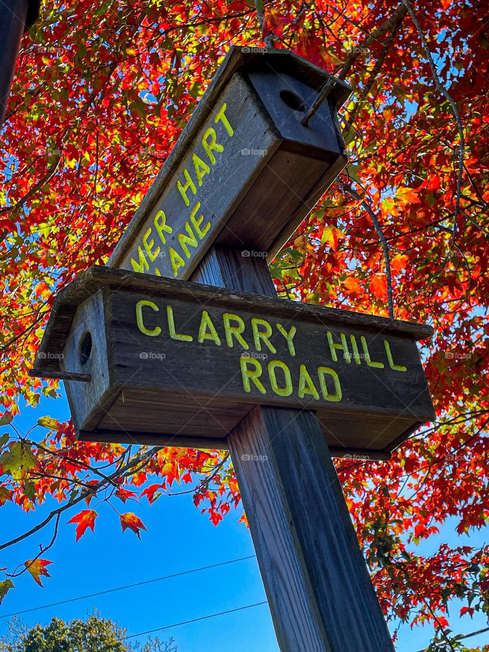 Road markers and birdhouses under the shade of a fiery red maple tree in Autumn.