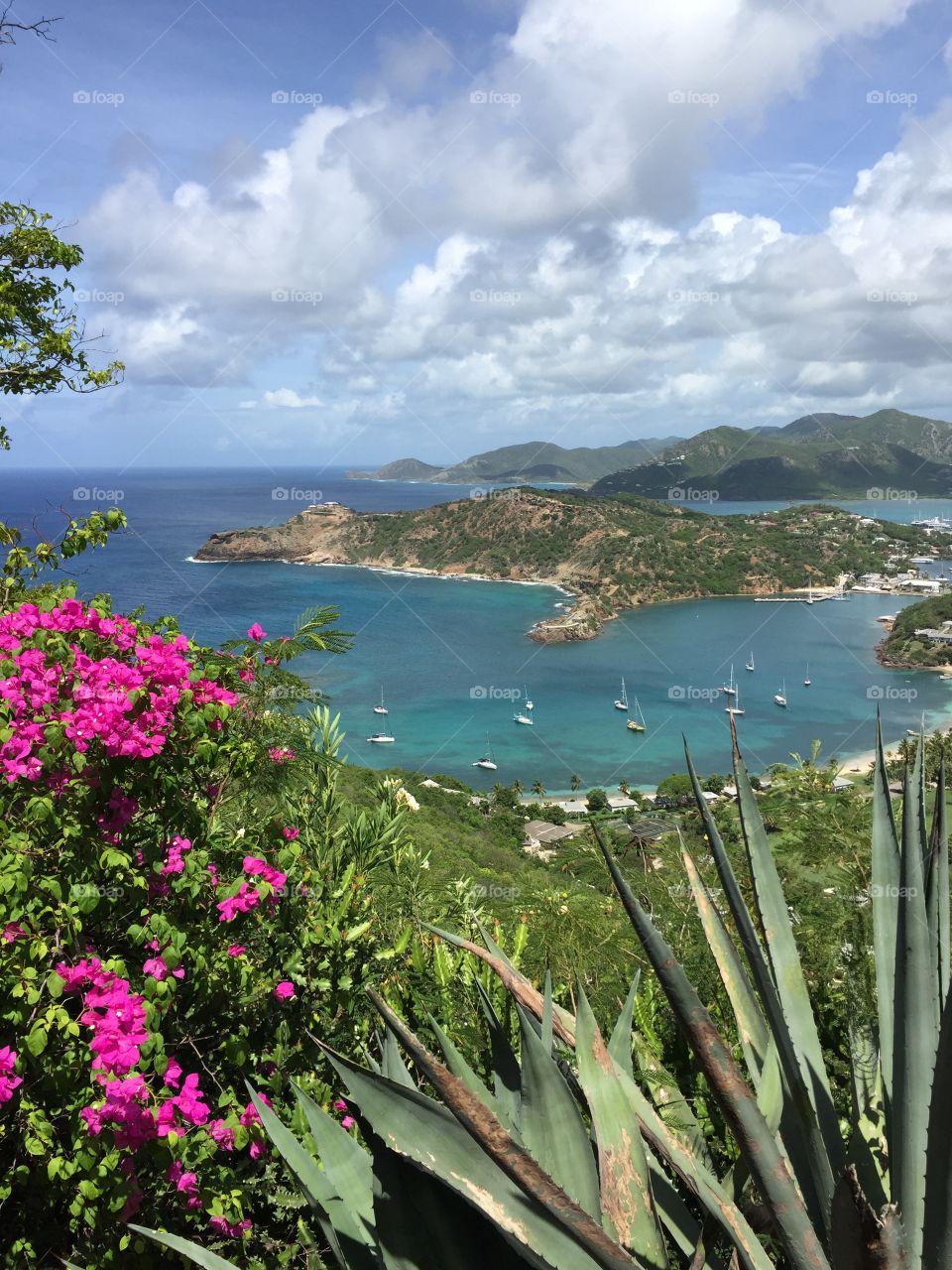 Barbuda views 