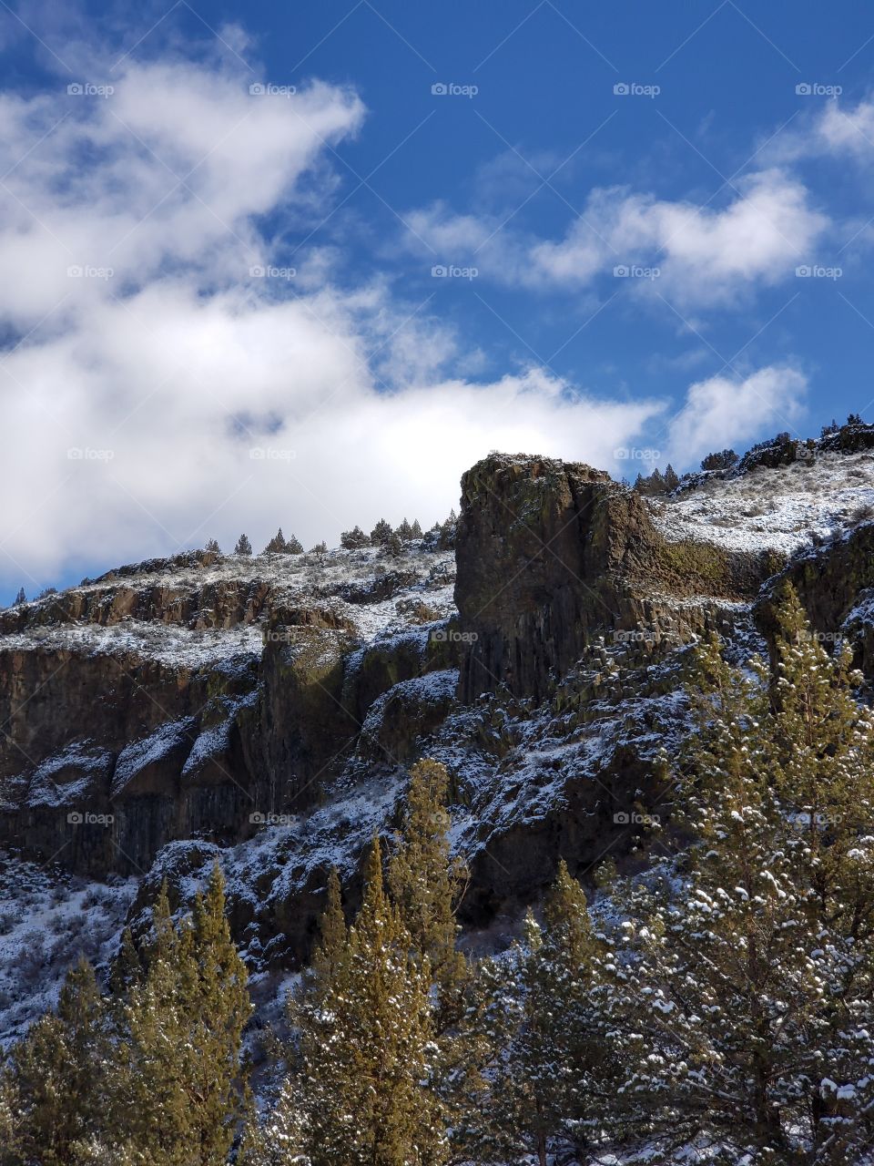 Andesite and basalt rock formations on a hill covered with fresh snow with large juniper trees in the foreground on a winter day in Central Oregon with bright blue skies.