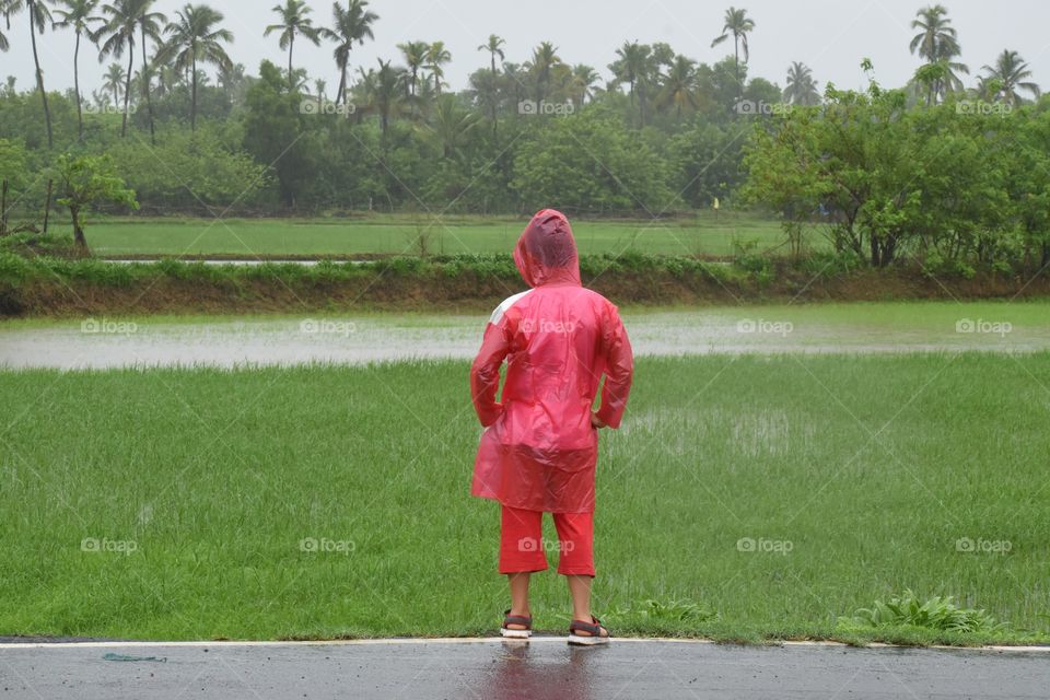 red raincoat and green field