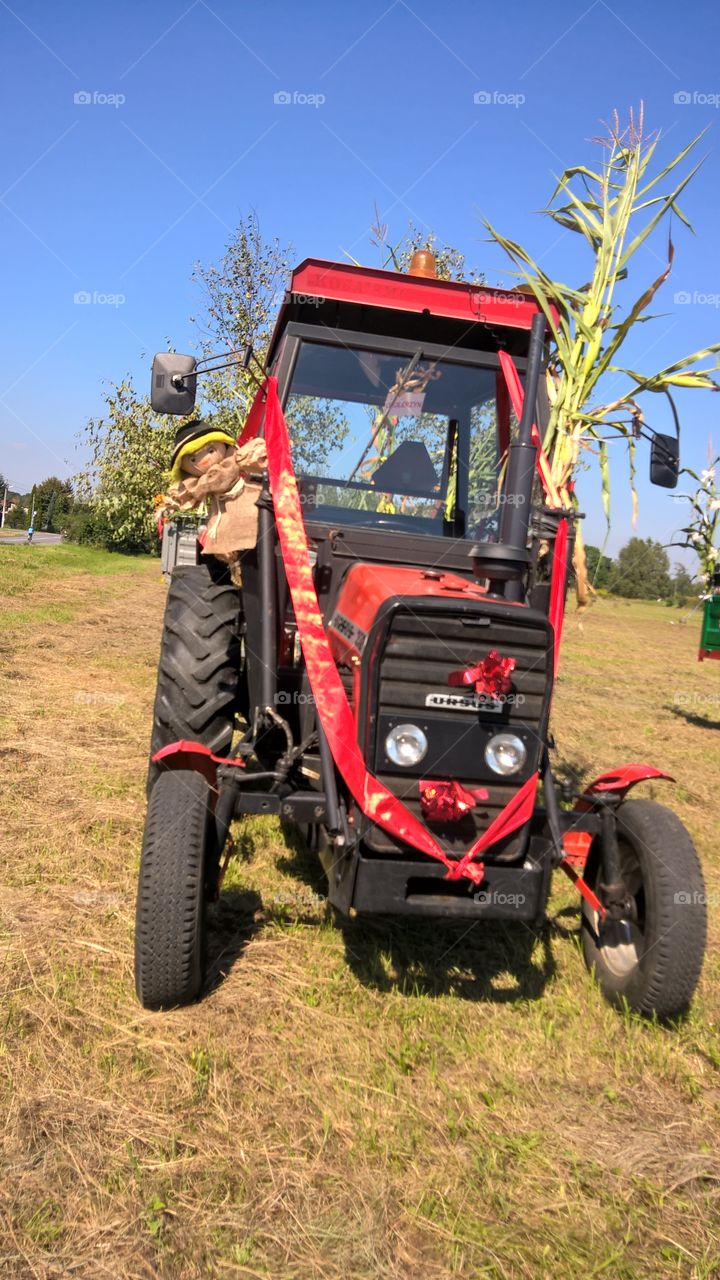 święto plonów-dożynki