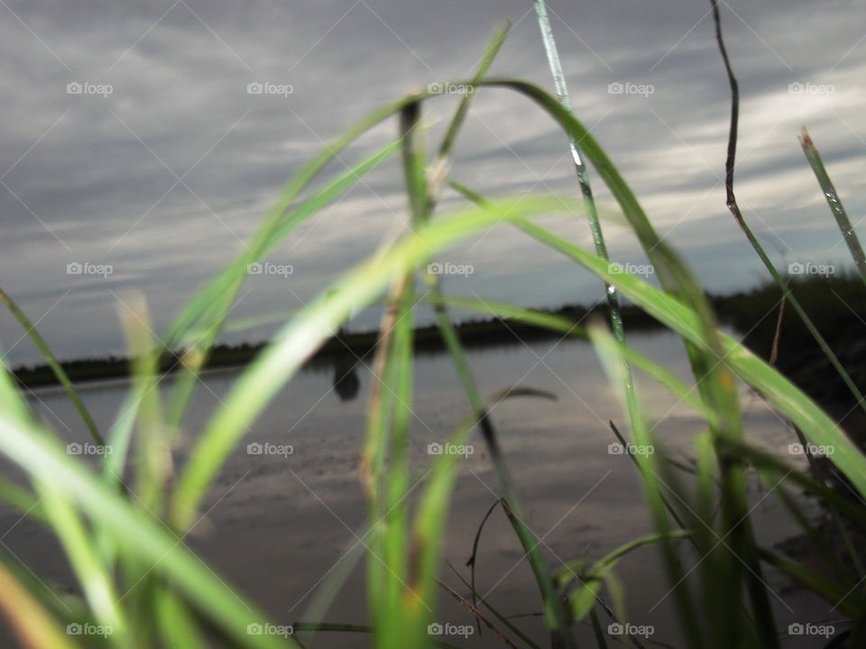 Grass, Landscape, Dawn, Field, Water