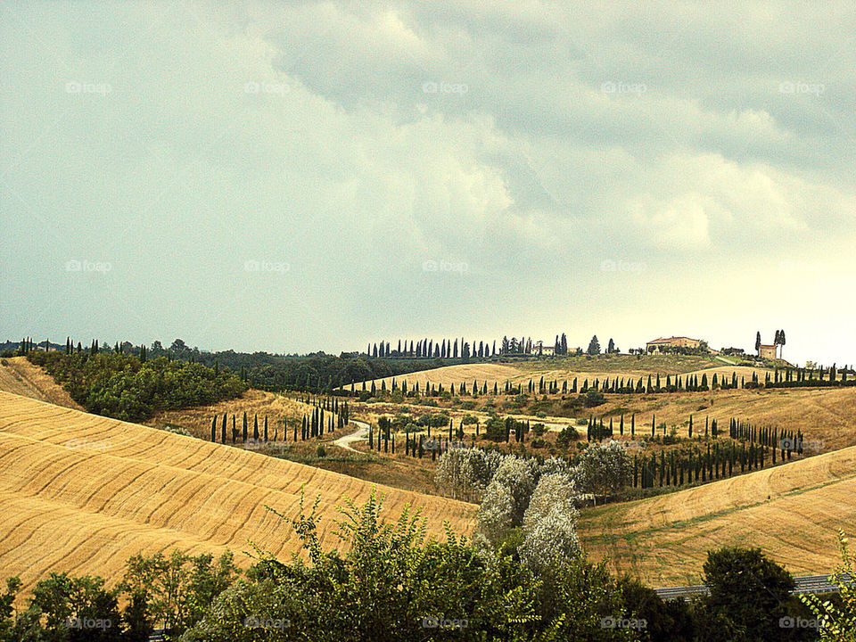 italy summer siena tuscany by woodyyeah