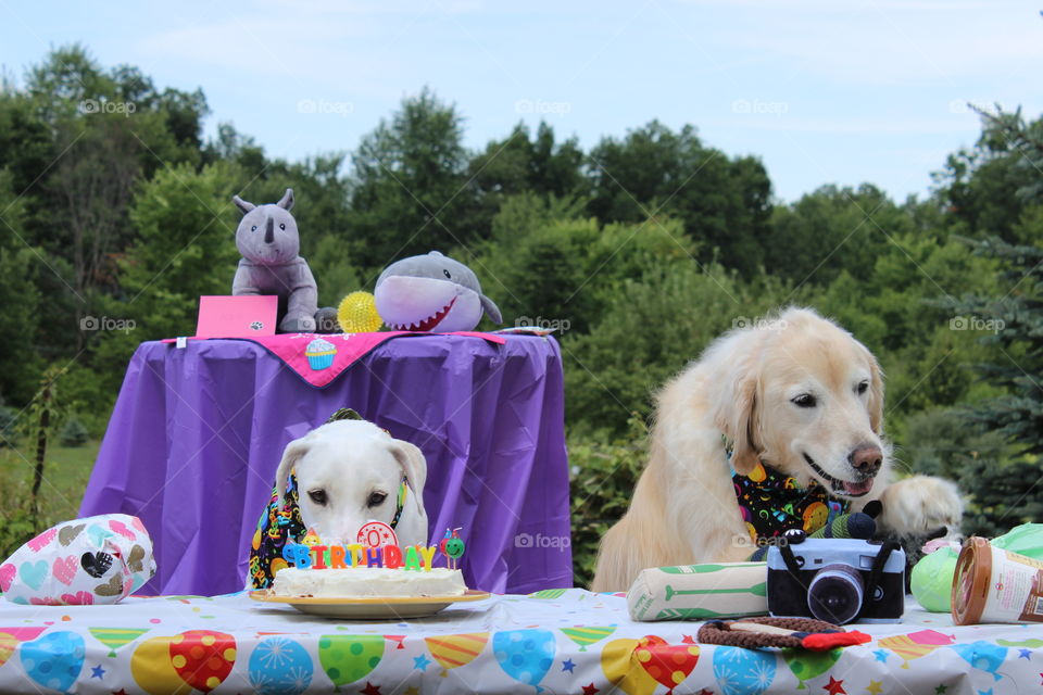 Kaci's 9th birthday party. Cake and toys!