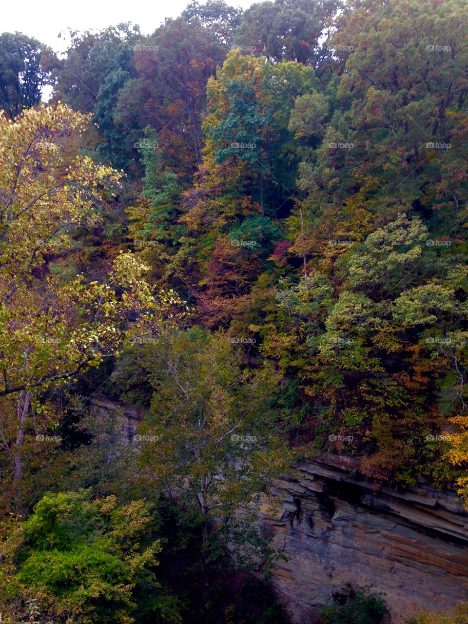 Clifty Falls Autumn 