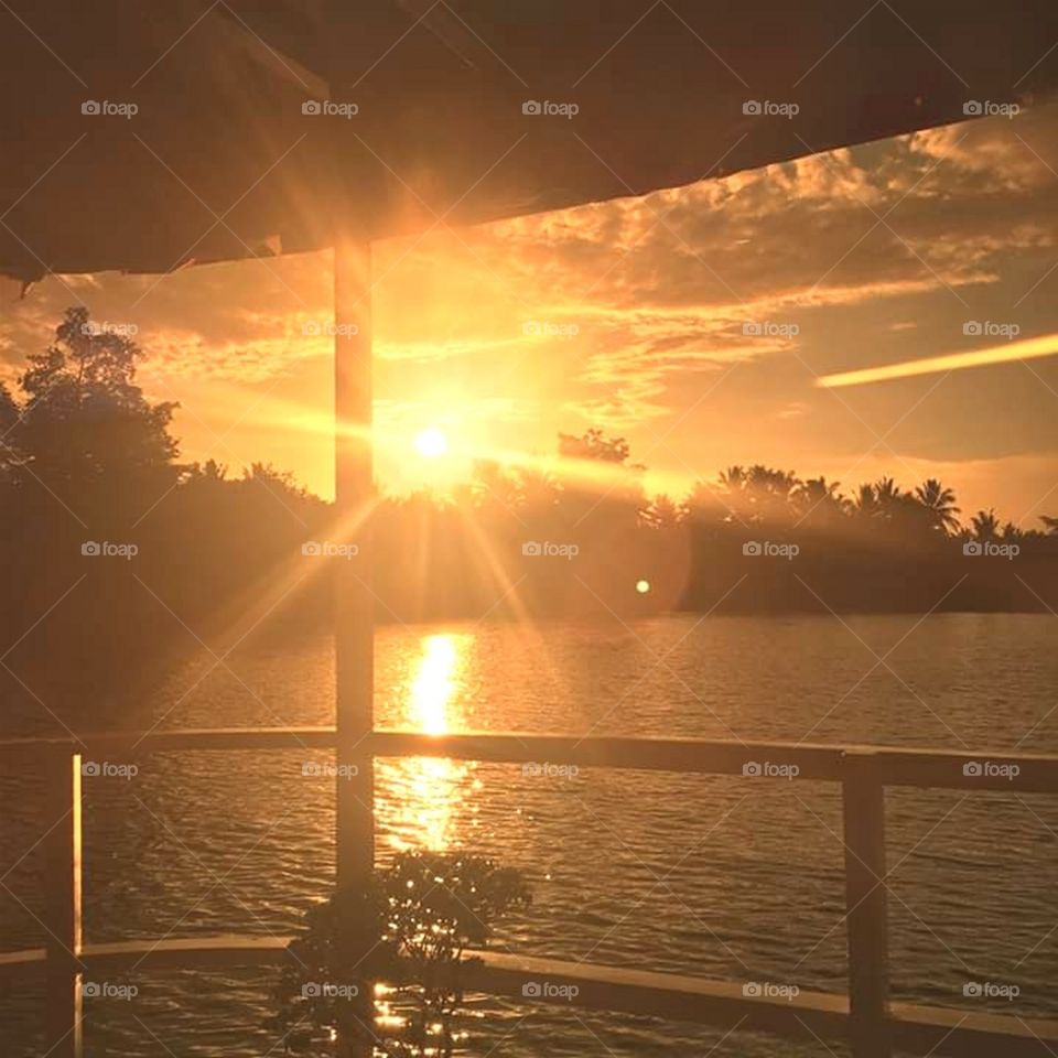 Feel the Warmth in your Heart