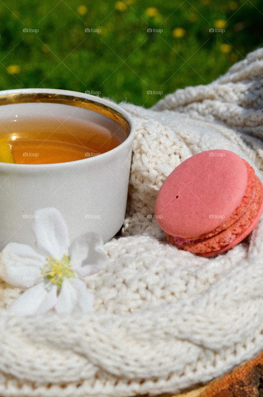 Tea party in nature with a delicious dessert