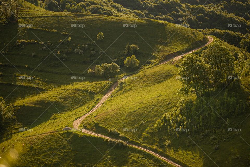 road to nature