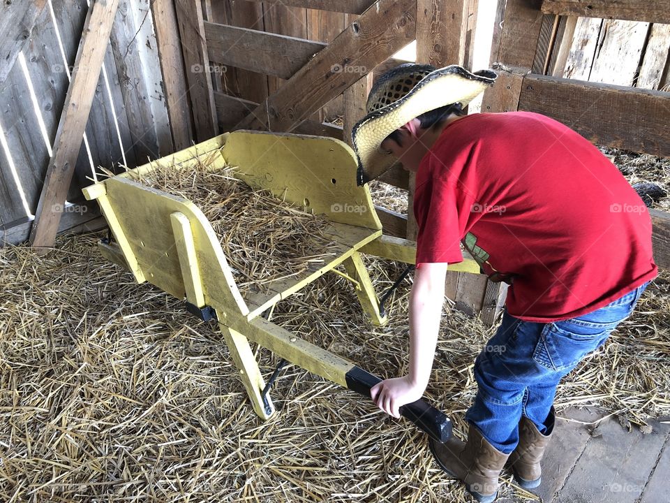 barn work