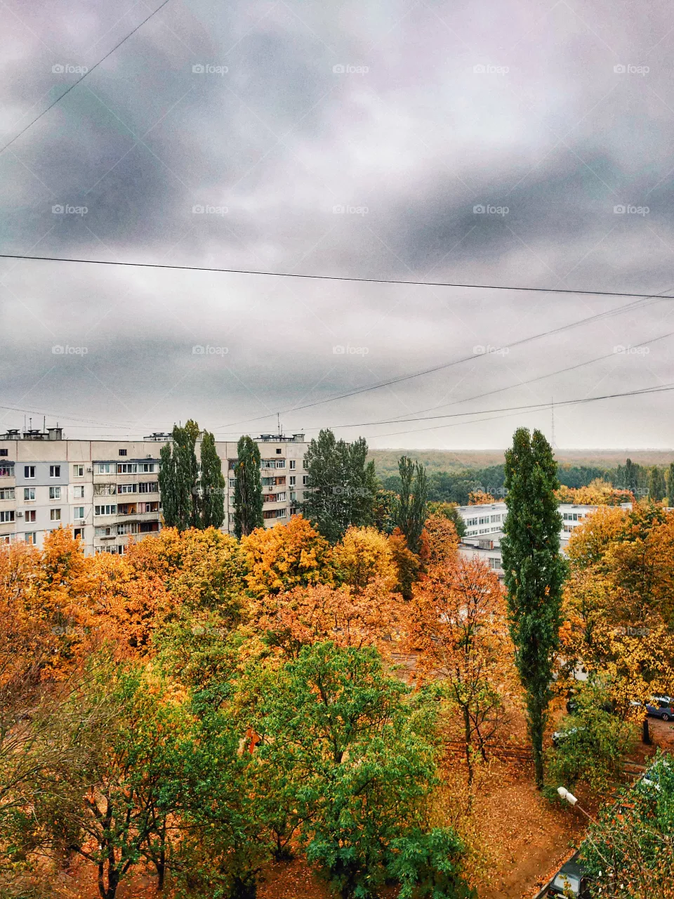 Moods of autumn
