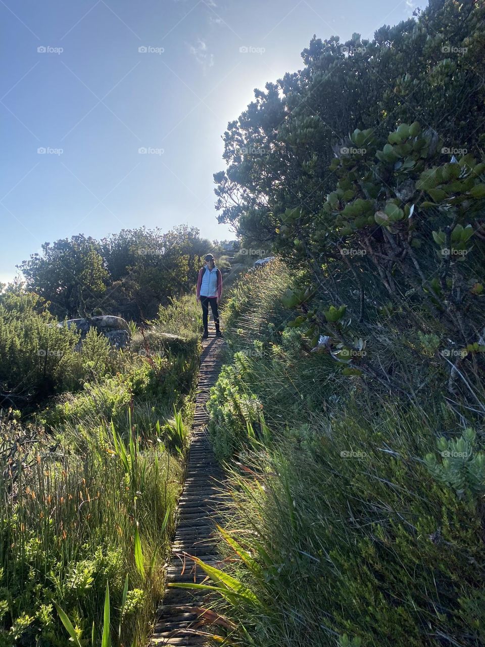 When you stop to take in the breathtaking view of nature. Table Mountain. 