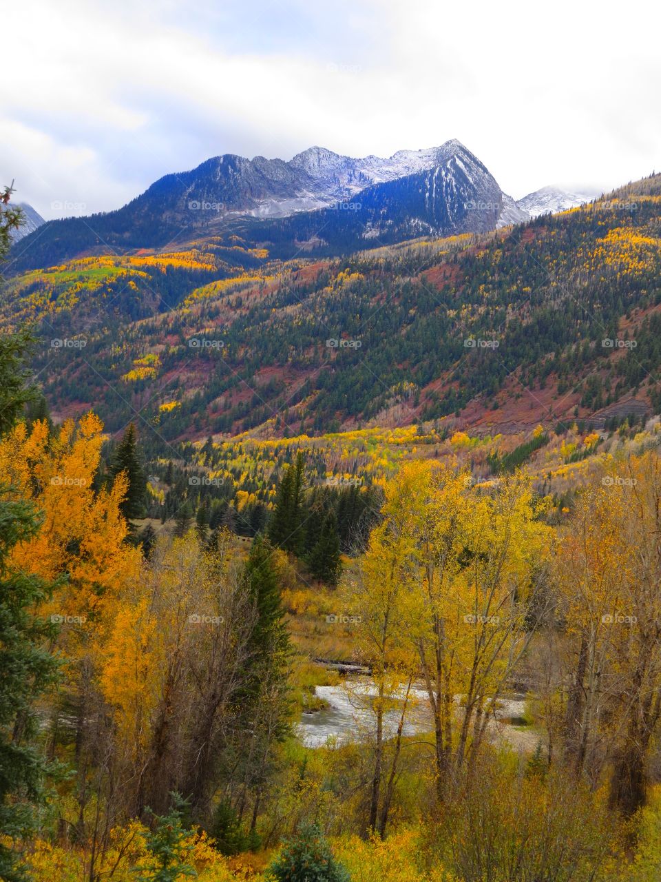  View from the trail in Colorado in the Autumn.
