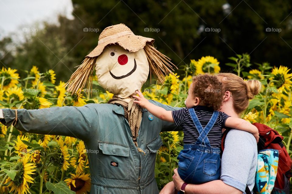 scarecrow