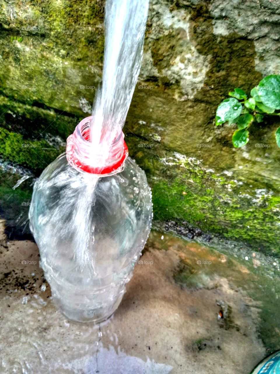 water filled in bottle