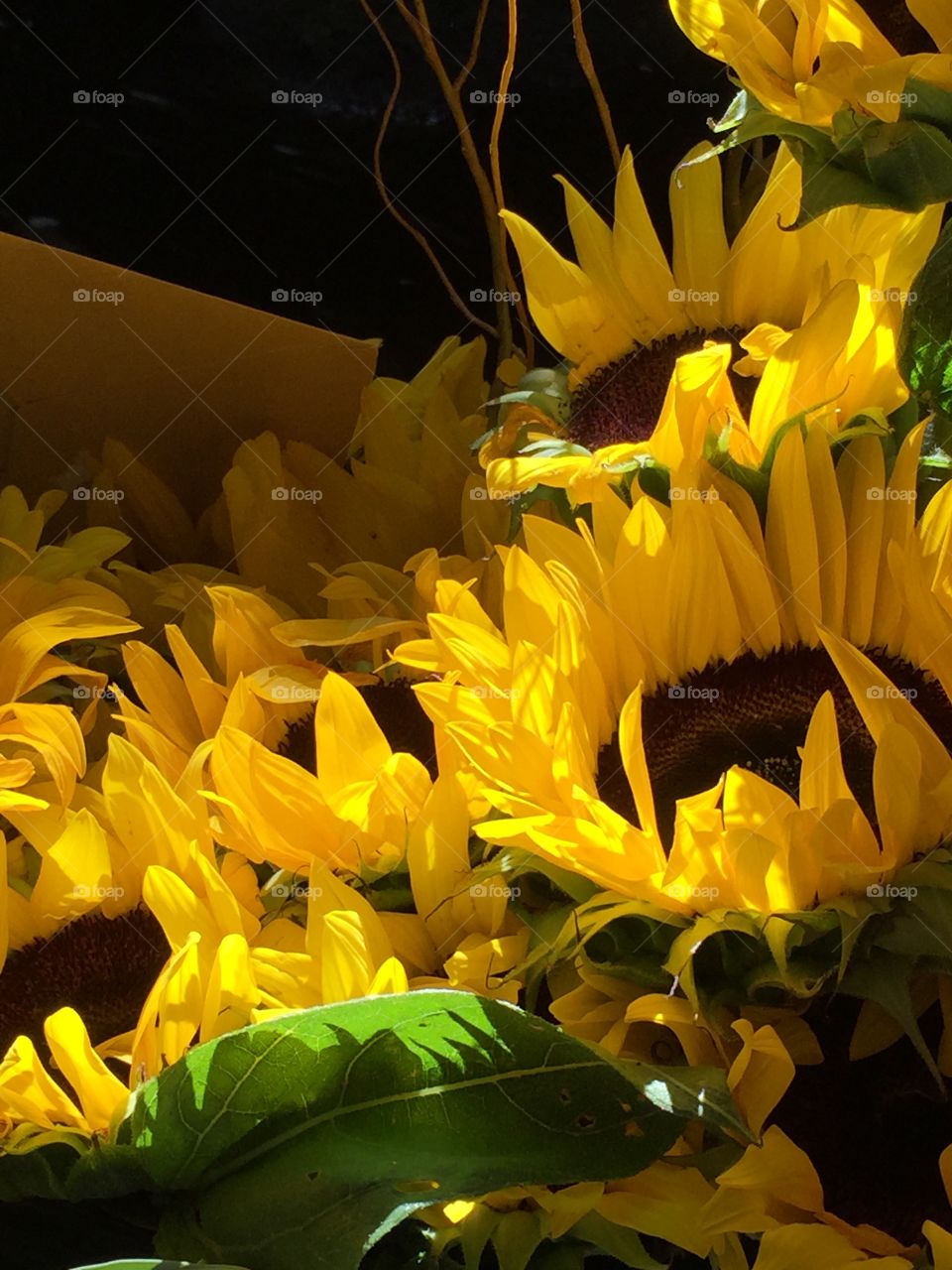 Wedding Bouquet of sunflowers 