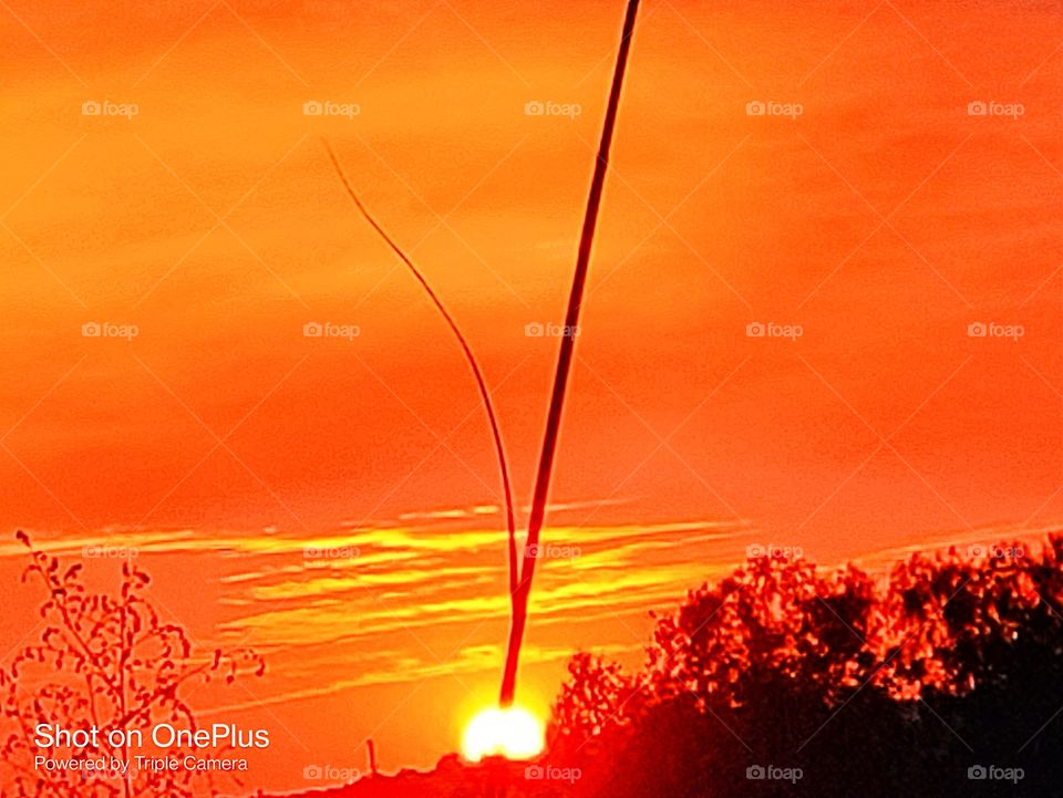 Editor's choice-photo of the week